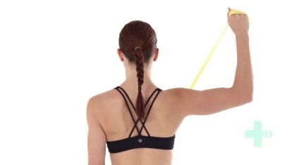 Exercises With Resistance Bands